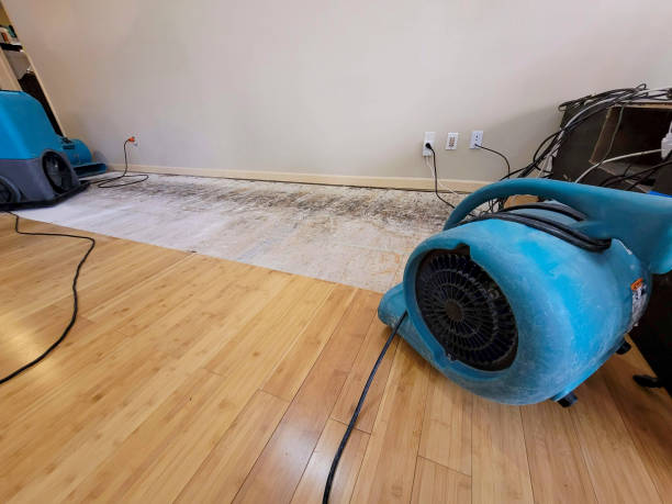 Professional Sewage Cleanup technician working in Gilman, IL